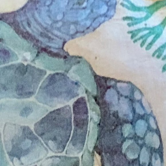 Scallop Shell Jewelry Keeper - Honu (turtle) - Picture 2 of 3